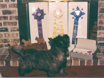 Max & his prizes